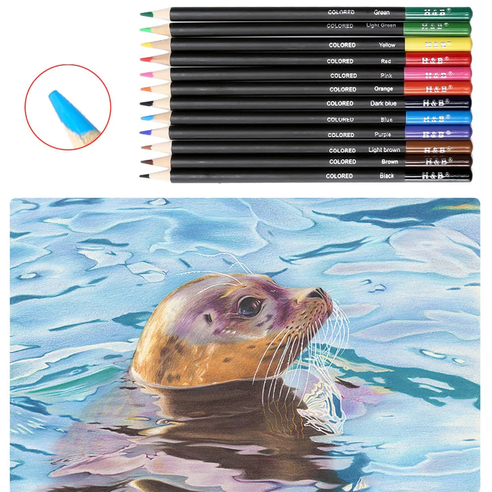 Drawing Pencils Set, Sketch Watercolor Metallic Oily Complete Beginner Kit