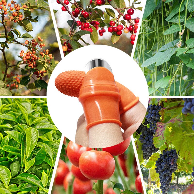 Iron Nail Pick Grape Picker For Garden Tools
