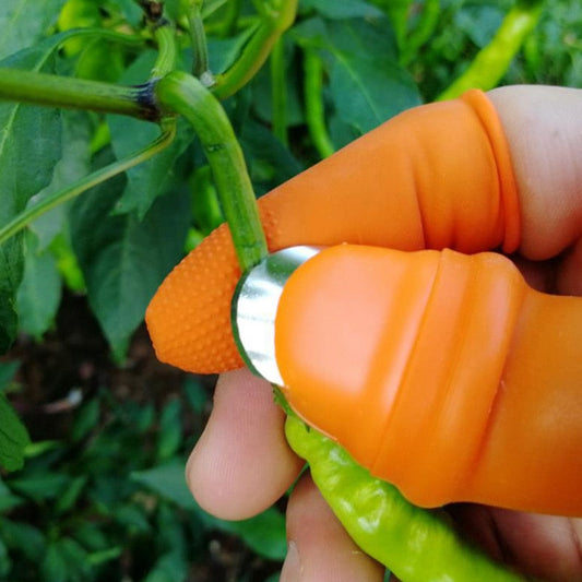 Iron Nail Pick Grape Picker For Garden Tools